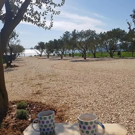 مكان تخييم Relax Camp Pitches